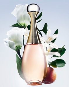 花卉植物場景產(chǎn)品在蔬菜種植中的應(yīng)用與效益